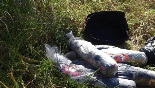 Idosa mata marido com veneno de rato, esquarteja vítimae abandona parte do corpo dentro de mala