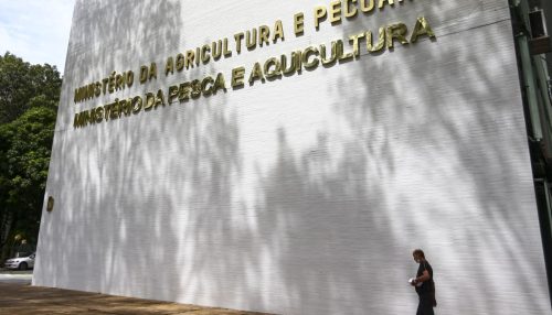 Intensificadas ações de investigação contra gripe aviária