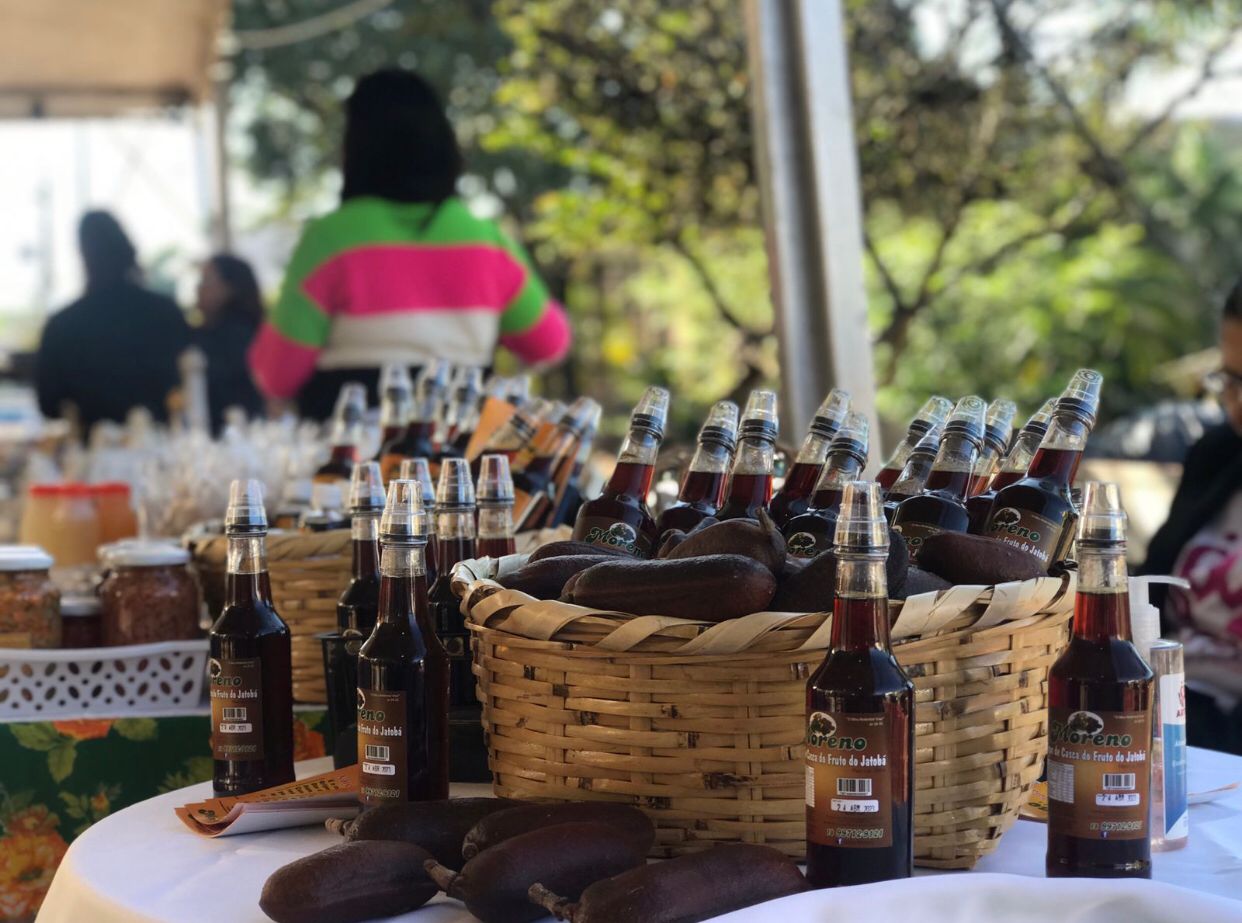 Inovação, diversidade e cultura marcam a 1ª Feira de Jatobá e Produtos Regionais Latitude 21