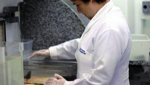 Projeto de Lei visa aumentar participação de mulheres em pesquisas médicas