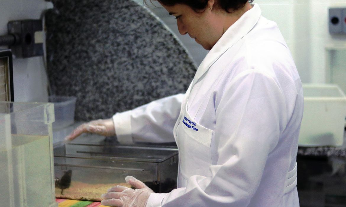 Projeto de Lei visa aumentar participação de mulheres em pesquisas médicas