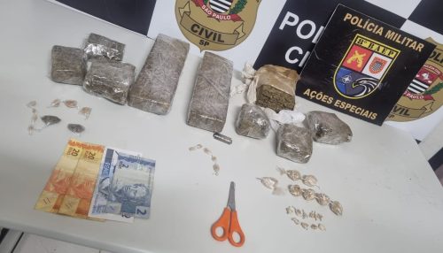 Polícia civil de Presidente Prudente realiza ação Policial 