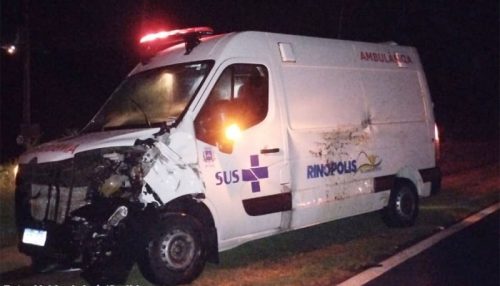 Animal bovino provoca acidente com ambulância na Rodovia Bastos / Iacri