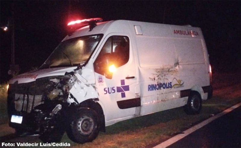 Animal bovino provoca acidente com ambulância na Rodovia Bastos / Iacri