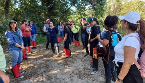 Curso de História do Centro Universitário obtém renovação de reconhecimento pelo prazo máximo