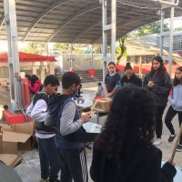 WhatsApp Image 2023 06 06 At 12.27.51