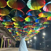 WhatsApp Image 2023 06 09 At 10.22.51