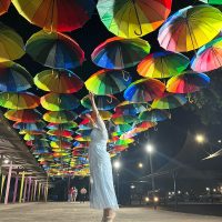 WhatsApp Image 2023 06 09 At 10.22.52