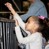 WhatsApp Image 2023 06 24 At 17.50.56_Easy Resize.com