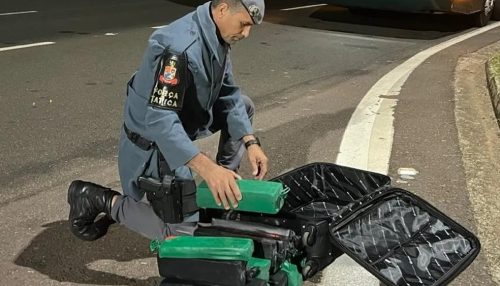 Após vistoria em ônibus interestadual, passageira é presa com 29 tabletes de maconha