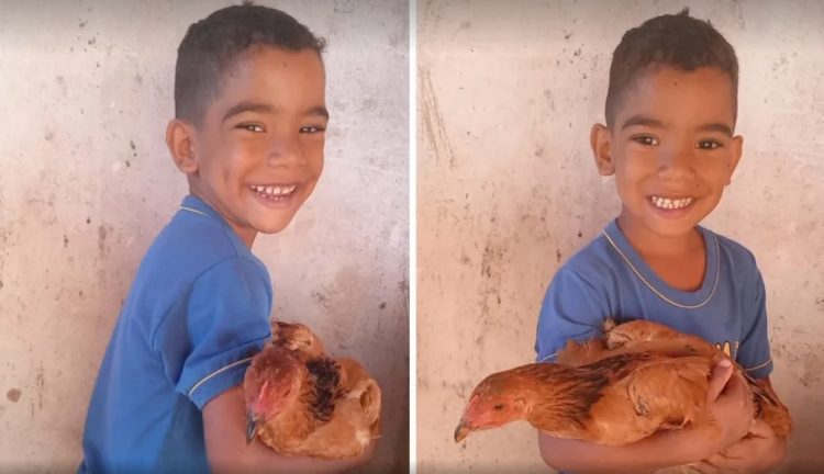 Galinha estimula desenvolvimento de menino autista no interior de SP: ‘Muito amor’, diz mãe