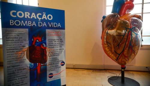 Internações por infarto aumentam mais de 150% no Brasil