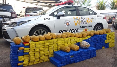 Policia Rodoviária prende jovem e apreende mais de 300 quilos de droga na SP 294 em Tupã