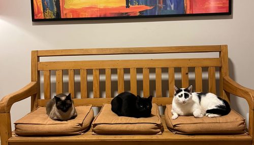 MARTINEZ DEMOLIÇÕES: Móveis para além da sustentabilidade...