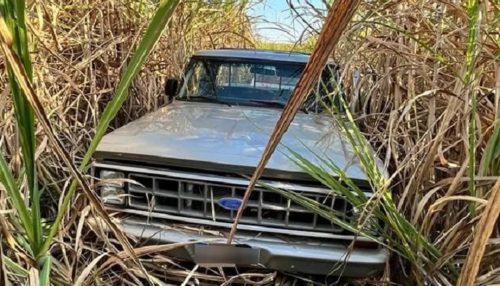 Criminoso foge da PM e abandona caminhonete furtada em canavial, em Junqueirópolis