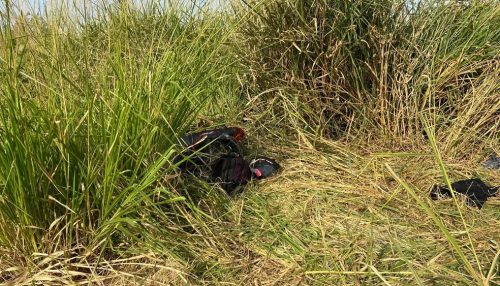 Após 60 horas de desaparecimento, mulher é encontrada caída e com ferimentos às margens da Rodovia