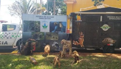 Polícia Militar Ambiental participará da ExpoVerde 2023