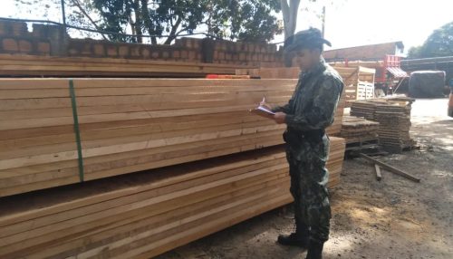 Após denúncia, empresa é multada em R$ 4,4 mil por receber madeiras sem licença