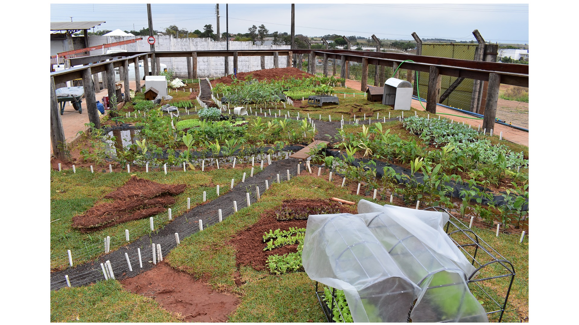 EMEFs de Adamantina apresentarão durante a ExpoVerde 2023 o cultivo sustentável
