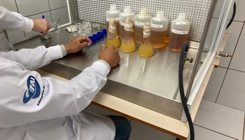 Centro Universitário de Adamantina desenvolve trabalho de qualidade da compostagem em conjunto com a UFV