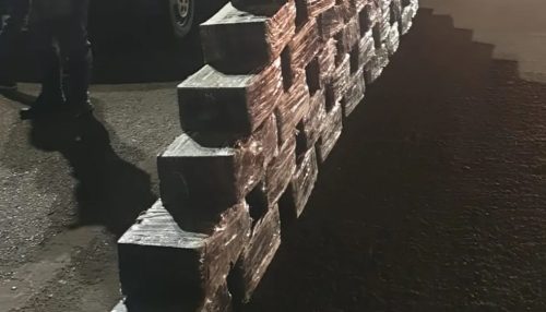 Irmãos são presos ao transportar 760 kg de maconha em caminhão