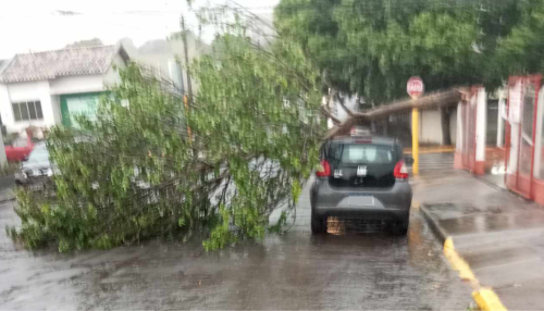 NOTA DE ESCLARECIMENTO - VENDAVAL NA REGIÃO DE PRESIDENTE PRUDENTE