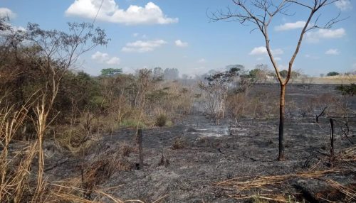 Incêndio de grandes proporções na SP-294 em Adamantina