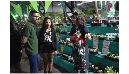 Expositores confirmam participação na ExpoVerde 2024