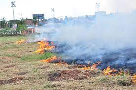 Prefeitura de Adamantina institui lei que proíbe queimadas urbanas no município