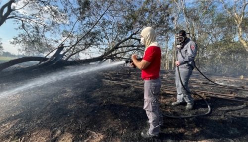 Bombeiros atuam no combate a incêndios em duas áreas de vegetação neste domingo (3) em Adamantina