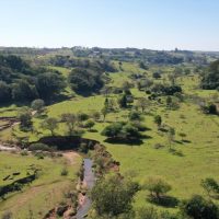 Sp 294_erosao No Corrego Jangada