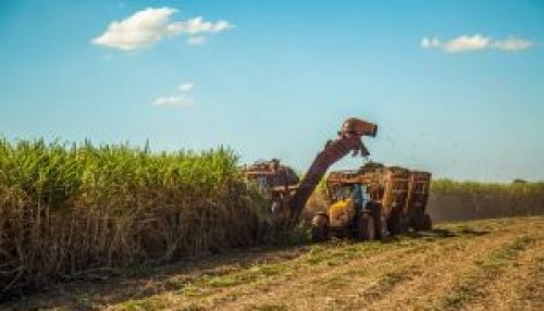 SP regulariza transporte de cana em composição de veículos de até 91 toneladas