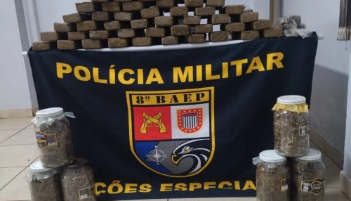 Com porções de maconha enterradas em matagal, duas mulheres são presas por tráfico de droga