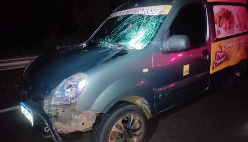 Homem morre após ser atropelado na SP 425 em Parapuã