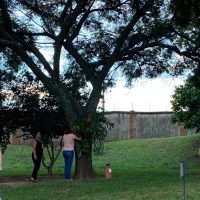 WhatsApp Image 2023 11 27 At 14.51.53