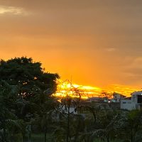 WhatsApp Image 2023 11 27 At 14.51.54 (1)