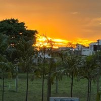 WhatsApp Image 2023 11 27 At 14.51.54