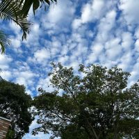 WhatsApp Image 2023 11 27 At 15.14.40 (1)