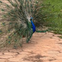 WhatsApp Image 2023 11 27 At 15.15.26