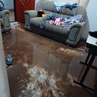 WhatsApp Image 2023 11 29 At 22.32.00