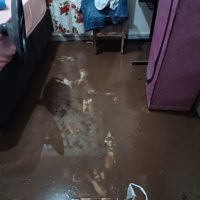 WhatsApp Image 2023 11 29 At 22.32.01