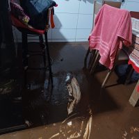 WhatsApp Image 2023 11 29 At 22.32.03 (3)