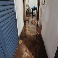 WhatsApp Image 2023 11 29 At 22.32.04 (1)