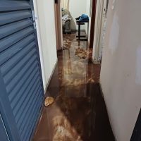 WhatsApp Image 2023 11 29 At 22.32.04 (2)