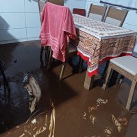 WhatsApp Image 2023 11 29 At 22.32.04