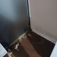 WhatsApp Image 2023 11 29 At 22.32.04 (4)