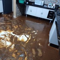 WhatsApp Image 2023 11 29 At 22.32.05 (1)