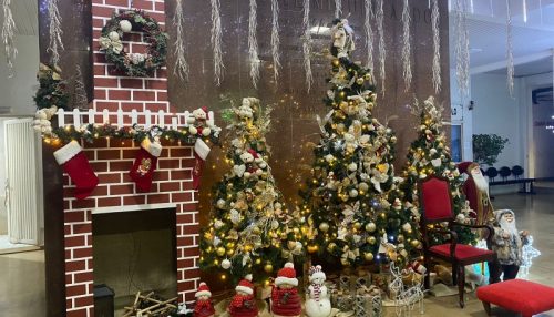 Prefeitura de Adamantina orienta a população na preservação dos enfeites de natal