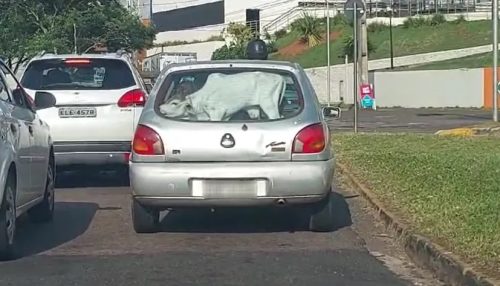 Bezerro é flagrado sendo transportado no porta-malas de carro em avenida movimentada