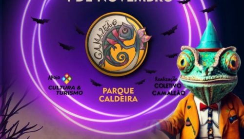 Camaleão Feira de Artes, Diversidades e Gastronomia acontece sábado (4) no Parque Caldeira